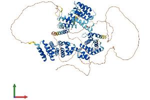 Protein Structure (PS) image for Eukaryotic Translation Initiation Factor 4 gamma 2 (EIF4G2) (AA 1-906) protein (His tag) (ABIN7563971)