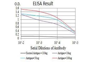 Black line: Control Antigen (100 ng),Purple line: Antigen (10 ng), Blue line: Antigen (50 ng), Red line:Antigen (100 ng) (PDGFRA antibody  (AA 179-361))