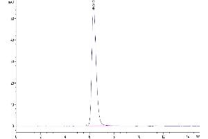 The purity of Human IL-4 R alpha is greater than 95 % as determined by SEC-HPLC. (IL4 Receptor Protein (AA 24-232) (Fc Tag))