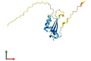 AlphaFold protein structure predicition of Mouse Recombinant Bola1 Protein, UniprotID Q9D8S9 (BOLA1 Protein (AA 1-137) (His tag))