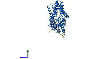 AlphaFold protein structure predicition of Mouse Recombinant Mfsd4b1 Protein, UniprotID Q8VCV9 (Mfsd4b1/Naglt1a Protein (AA 1-425) (His tag))
