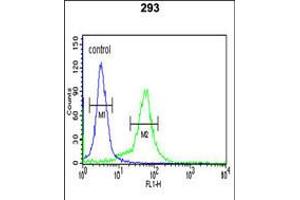 Flow cytometric analysis of 293 cells (right histogram) compared to a negative control cell (left histogram). (BTBD1 antibody  (AA 295-322))