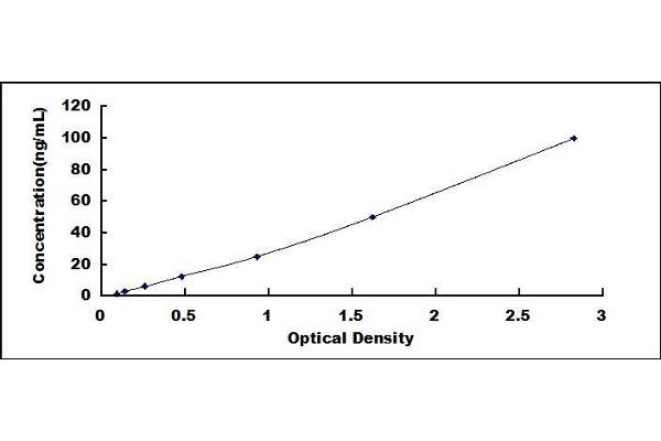 HSD11B1 ELISA Kit