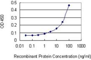 Detection limit for recombinant GST tagged MCFD2 is 1 ng/ml as a capture antibody. (MCFD2 antibody  (AA 1-146))