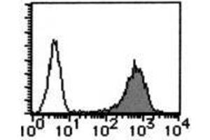 Flow Cytometry (FACS) image for anti-CD59 (CD59) antibody (ABIN1449269) (CD59 antibody)