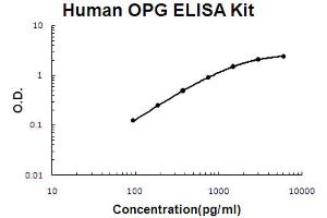 ELISA image for Tumor Necrosis Factor (Ligand) Superfamily, Member 11 (TNFSF11) ELISA Kit (ABIN6719801)
