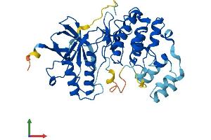 AlphaFold protein structure predicition of Human Recombinant MAPK13 Protein, UniprotID O15264 (MAPK13 Protein (AA 1-365) (His tag))