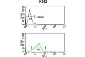 Flow Cytometry (FACS) image for anti-Polymerase (DNA Directed), epsilon 3 (p17 Subunit) (POLE3) antibody (ABIN3003136) (POLE3 antibody)