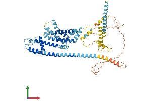 AlphaFold protein structure predicition of Human Recombinant CATSPER2 Protein, UniprotID Q96P56