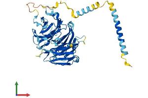 Protein Structure (PS) image for WD Repeat Domain 18 (WDR18) (AA 1-432) protein (His tag) (ABIN7545163)