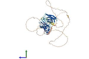 AlphaFold protein structure predicition of Mouse Recombinant Syt14 Protein, UniprotID Q7TN84 (SYT14 Protein (AA 1-555) (His tag))