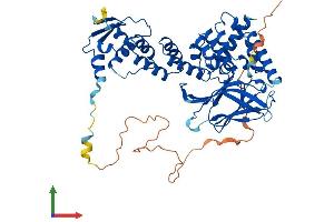 AlphaFold protein structure predicition of Mouse Recombinant Gmcl1 Protein, UniprotID Q920G9