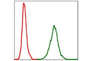 Flow cytometric analysis of Jurkat cells using NEFL monoclonal antibody, clone 1H3  (green) and negative control (red).