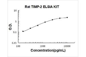 Rat TIMP-2 PicoKine ELISA Kit standard curve