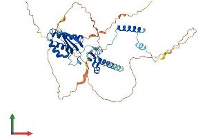 AlphaFold protein structure predicition of Mouse Recombinant Rnf25 Protein, UniprotID Q9QZR0 (RNF25 Protein (AA 1-456) (His tag))