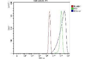 Flow Cytometry analysis of A431 cells using anti-ROCK2 antibody (ABIN7602651).