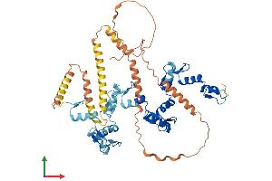 AlphaFold protein structure predicition of Human Recombinant ZNF286B Protein, UniprotID P0CG31