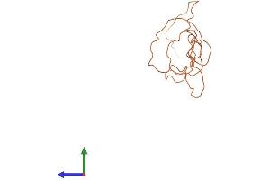 AlphaFold protein structure predicition of Human Recombinant KRTAP4-1 Protein, UniprotID Q9BYQ7 (KRTAP4-1 Protein (AA 1-146) (His tag))