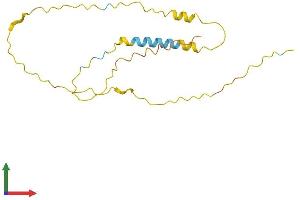 AlphaFold protein structure predicition of Human Recombinant NFE4 Protein, UniprotID Q86UQ8 (NFE4 Protein (AA 1-179) (His tag))