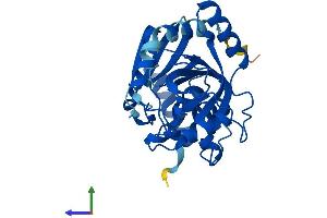 Protein Structure (PS) image for Purine Nucleoside Phosphorylase (PNP) (AA 1-289) protein (His tag) (ABIN7550901)