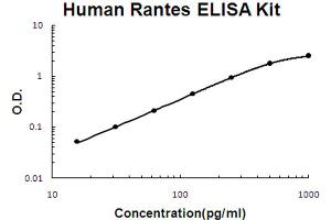 人Rantes-Accusignal ELISA试剂盒人Rantes-Eccusignal-ELISA试剂盒标准曲线。（CCL5 ELISA试剂盒）