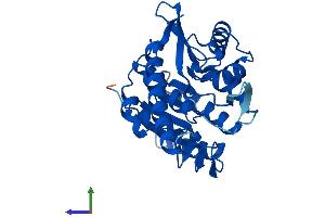 AlphaFold protein structure predicition of Mouse Recombinant Pdxk Protein, UniprotID Q8K183 (PDXK Protein (AA 1-312) (His tag))