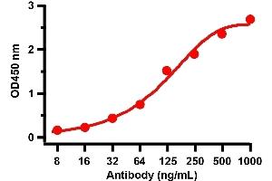 ELISA Validation with SARS-CoV-2 (COVID-19) Spike RBD+SD1 Recombinant ProteinAntibodies: SARS-CoV-2 (COVID-19) Spike RBD antibody, ABIN6952968 (1 μg/mL). (SARS-CoV-2 Spike antibody  (RBD))