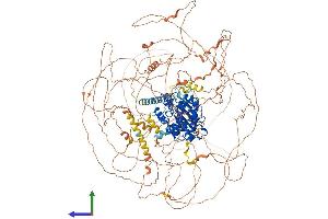 AlphaFold protein structure predicition of Human Recombinant CDK13 Protein, UniprotID Q14004