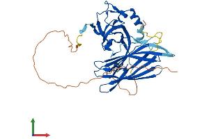 AlphaFold protein structure predicition of Human Recombinant POLDIP2 Protein, UniprotID Q9Y2S7