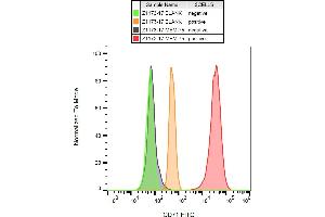 Flow cytometry analysis (surface staining) of CD71 in K562 cells (positive) and lymfocytes (negative) using anti-CD71 (MEM-75) FITC. (Transferrin Receptor antibody  (FITC))