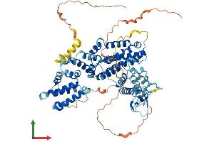 AlphaFold protein structure predicition of Human Recombinant RASGRP4 Protein, UniprotID Q8TDF6 (RASGRP4 Protein (AA 1-673) (His tag))