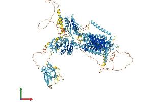 AlphaFold protein structure predicition of Mouse Recombinant Disp3 Protein, UniprotID A3KFU9 (PTCHD2 Protein (AA 1-1347) (His tag))