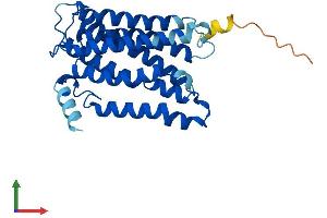 AlphaFold protein structure predicition of Mouse Recombinant Elovl1 Protein, UniprotID Q9JLJ5