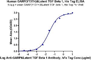 Immobilized Human GARP (Y137H) &Latent TGF Beta 1 Complex, His Tag at 5 μg/mL (100 μL/well) on the plate.