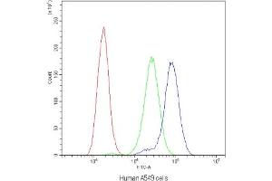 Flow cytometry testing of human A549 cells with APRT antibody at 1ug/10^6 cells (blocked with goat sera) (APRT antibody  (AA 5-49))