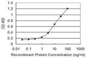 Detection limit for recombinant GST tagged NCDN is 0. (NCDN antibody  (AA 312-411))