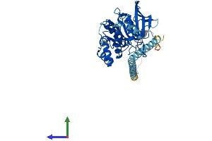 AlphaFold protein structure predicition of Human Recombinant PTPN2 Protein, UniprotID P17706