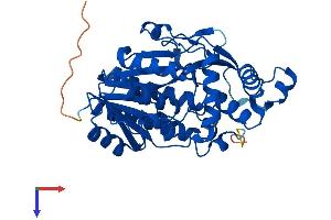 TDP-Glucose 4,6-Dehydratase (TGDS) (AA 1-355) protein (His tag)