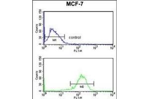 IL10RA Antibody (Center) (ABIN652714 and ABIN2842473) flow cytometry analysis of MCF-7 cells (bottom histogram) compared to a negative control cell (top histogram). (IL-10RA antibody  (AA 147-175))