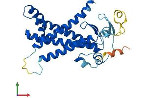 AlphaFold protein structure predicition of Human Recombinant ZDHHC22 Protein, UniprotID Q8N966