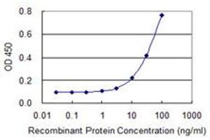 IQCH antibody  (AA 301-400)