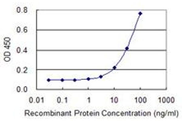 IQCH antibody  (AA 301-400)