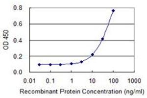 Detection limit for recombinant GST tagged IQCH is 1 ng/ml as a capture antibody. (IQCH antibody  (AA 301-400))