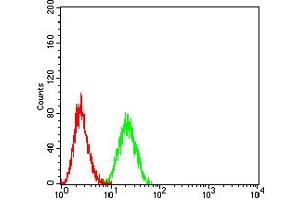 Flow cytometric analysis of Ramos cells using CD152 mouse mAb (green) and negative control (red). (CTLA4 antibody  (AA 36-161))