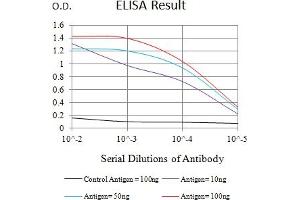 Black line: Control Antigen (100 ng),Purple line: Antigen (10 ng), Blue line: Antigen (50 ng), Red line:Antigen (100 ng) (SATB2 antibody  (AA 377-499))