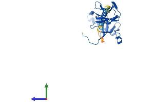 AlphaFold protein structure predicition of Mouse Recombinant H2-Aa Protein, UniprotID P14435