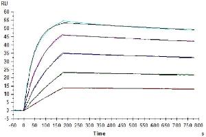 Human IL-10 R alpha, His Tag immobilized on CM5 Chip can bind Human IL-10, His Tag with an affinity constant of 0. (IL-10RA Protein (AA 22-235) (His-Avi Tag))