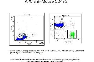 Image no. 1 for anti-CD45 (CD45.2 Allogen) antibody (APC) (ABIN1112456) (CD45.2 antibody  (APC))