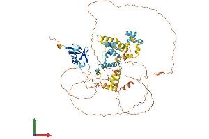 AlphaFold protein structure predicition of Human Recombinant UBQLN3 Protein, UniprotID Q9H347
