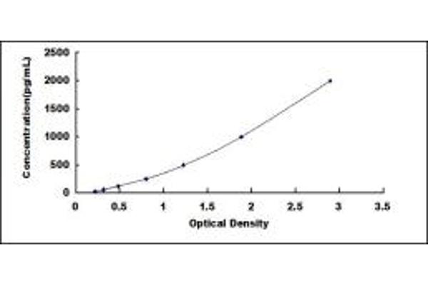 AGRN ELISA Kit